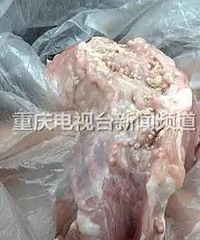 女子买回猪肉,切开有白色颗粒物