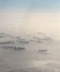 ӿпԺҪĩմսӰֱӴӱȡͺ