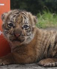 ���ֺ��ֶ��붯�ﱦ��һ����ˣ