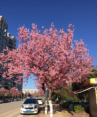 ���롰ʮ����������������ϴϴ�Σ�