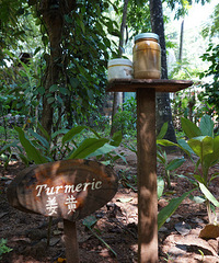 ӡ��������ᣬ{˹������}��