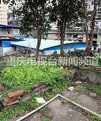 重庆老太楼顶种菜,竟然离奇失踪