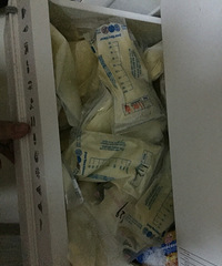 ��ĸ�� ����������