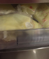 名副其实的奶牛 送母乳了,娃儿4个月了根