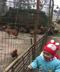 融侨半岛没人民小学指标怎么办?
