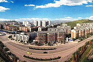 2017�꣬��Ҷ���εķ�չ��ô����