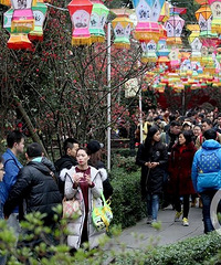 人从众……这个春节你都去哪里看人山人海了?