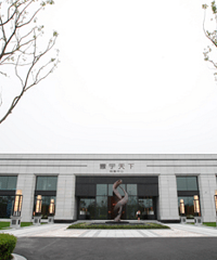 寰宇天下怎么了?一个小区有43套被法院查封拍卖的房子