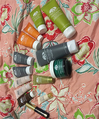 ���Ը�����ľ֮Դ�������ջ���