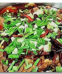 �����������ˮ���㻨