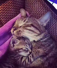 �����Ƽ�һЩ�ʺ���ĩ��������ˣ�ĵط���