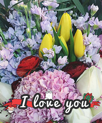 105元在大溪沟花市买了四把鲜花,给某人省了一大笔钱啊