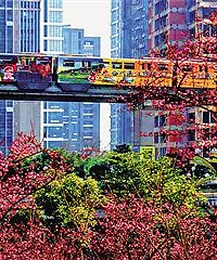 重庆天气真“任性” 今天暖如春下周冷如冬