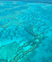 �����Ĺ����١�С������������֮�Ĵ�����������~~~~~~