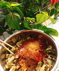日子平淡却幸福,做一些佐粥的咸菜——自制榨菜