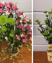 ��Ϫ�����й�Ȼ�ܲ���������˵Ļ��������Լ�ѧ�廨