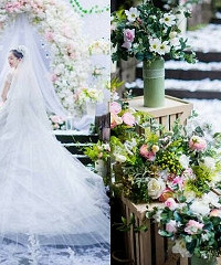 在后花园办森林系婚礼,清新又梦幻