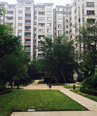 ���쵽�ˣ�һ����ɹɹС��������ͼ�ɣ������ĸ�С��������