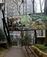 “一个人的动物园”停业整顿 大量私人动物园或被淘汰