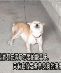 单身姐妹的香港HPV疫苗之旅(全天|第二针9价HPV疫苗接种攻略)~
