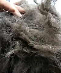 女子花一万元办理发卡,染完头发居然变这样...