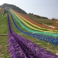 春天来了正适合去滑草