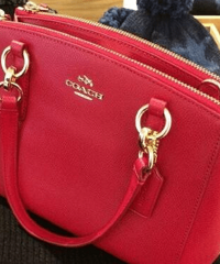 春天新包配新衣服,美国直邮的COACH、MK的包包有没得兴趣团?