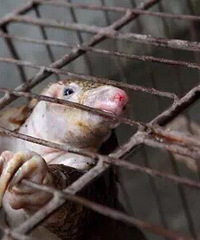 ���������ĺ����裬���̲���Ҫ������