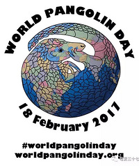 ���������ĺ����裬���̲���Ҫ������