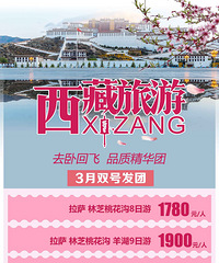3月、4月西藏去卧回飞8天/9天/10天 1780起