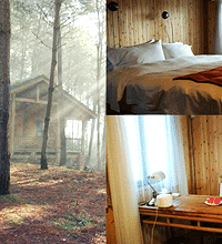 ̨ɽסСľݣ۸񲻹󻷾