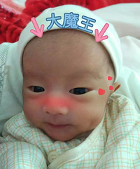 ����������ͷ�����춼Ҫ��������������ι���������ˡ�