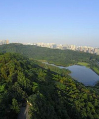 大坪土著对重庆房价及照母山等新区的一些看法