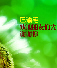 【原创】巴渝毛的人生感悟(十则)