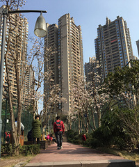 �ͱ�������һ��С��԰���ܻ��ݡ���ˢɳ����Ұ�ͣ��������ˣ�£�