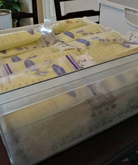 ��ʽ̤�ϴ���֮·��