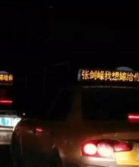花式虐狗!女孩包下全城出租车求婚