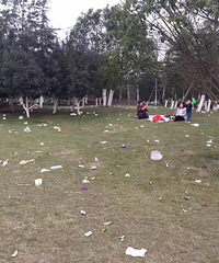 我大重庆人的素质有待提升啊!中央公园草坪垃圾遍地