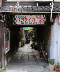 东瀛赏樱街拍之旅——闺蜜团八日日本自由行(完结)
