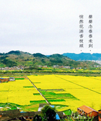 南川北固三秀油菜花开了,还有其他花花