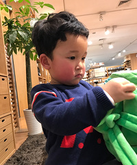 抬头纹没得了