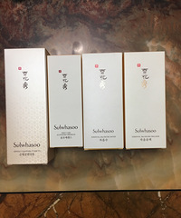 ѩ����������װ