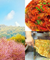 去武汉看樱花吃小龙虾,动车机票都便宜