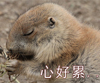 多图