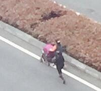 第一回看到推个婴儿车在公路中间散步的!还是反方向