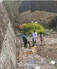 情侣拥吻太忘我惹出意外,男方摔下4米高桥