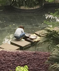 СȻˮˢϴףܱȥкҲû