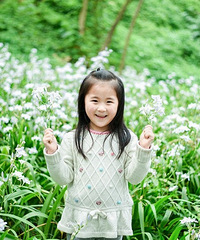 春天里的花海,好美