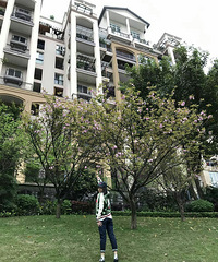 牛仔裤收纳新招