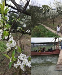 北碚张飞古道,感觉回到了80年代